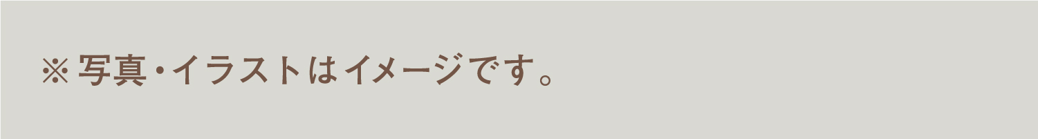※写真・イラストはイメージです。