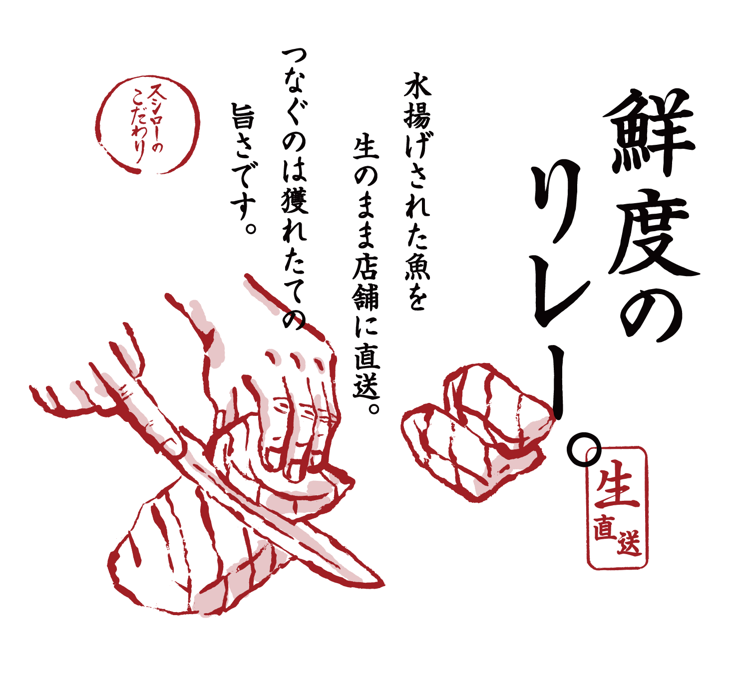 鮮度のリレー。生直送 水揚げされた魚を活〆し、生のまま店舗に直送。つなぐのは獲れたての旨さです。 スシローのこだわり